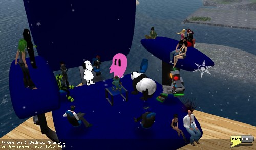 A typical meeting in Second Life